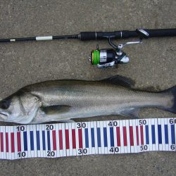 夕暮れ時短時間勝負！